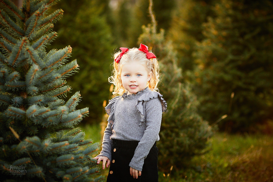 Holiday Tree Farm Mini Portrait Sessions at Sugar Pines Farm in Chesterland, Ohio