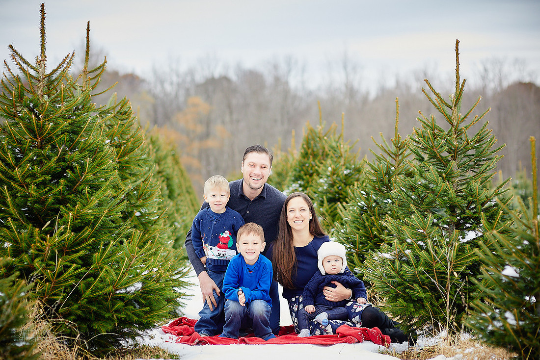 Micro Mini Portrait Sessions at Sugar Pines Farm