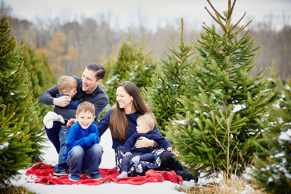 Micro Mini Portrait Sessions at Sugar Pines Farm