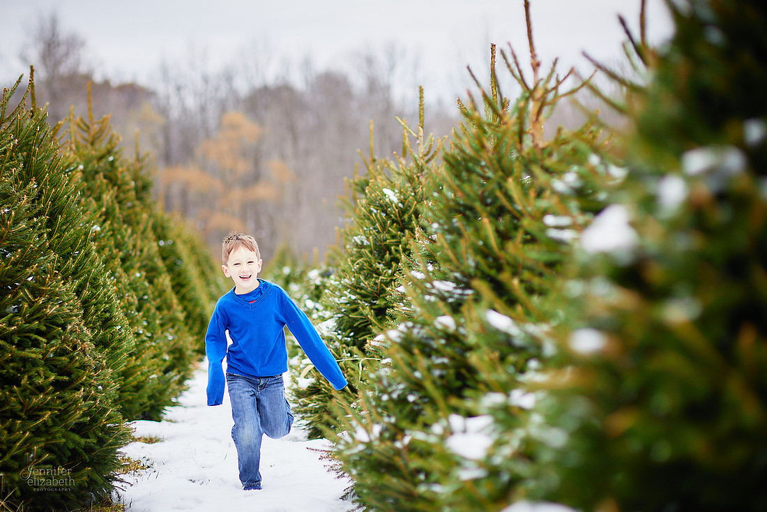 Micro Mini Portrait Sessions at Sugar Pines Farm