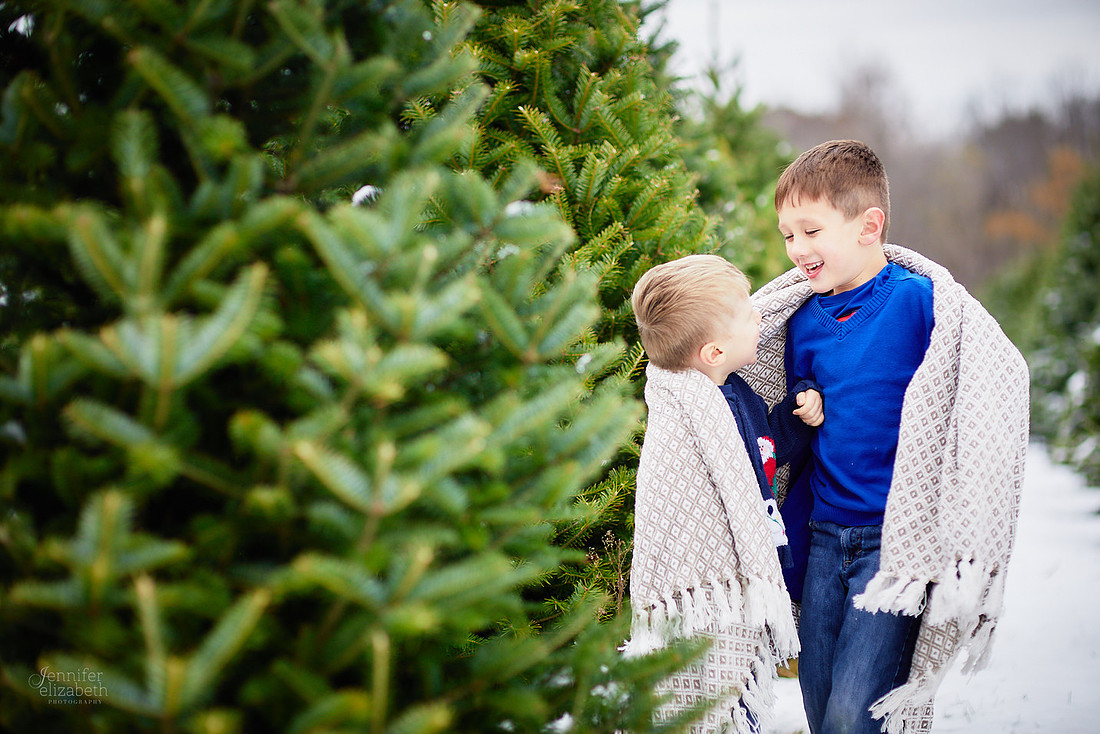 Micro Mini Portrait Sessions at Sugar Pines Farm
