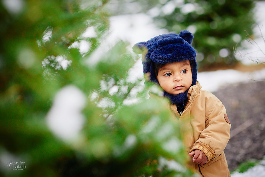 Micro Mini Portrait Sessions at Sugar Pines Farm