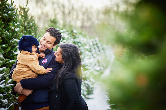 Micro Mini Portrait Sessions at Sugar Pines Farm