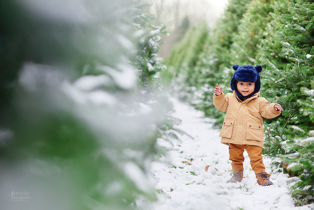 Micro Mini Portrait Sessions at Sugar Pines Farm