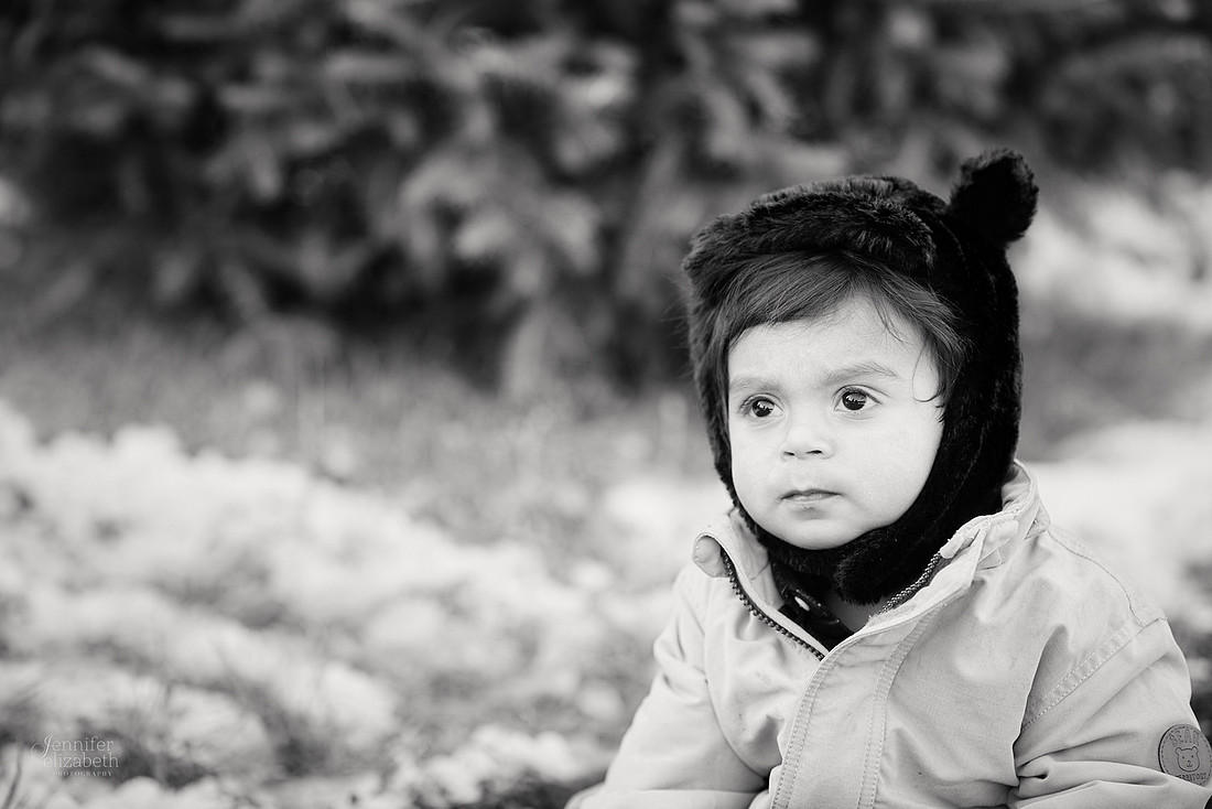 Micro Mini Portrait Sessions at Sugar Pines Farm