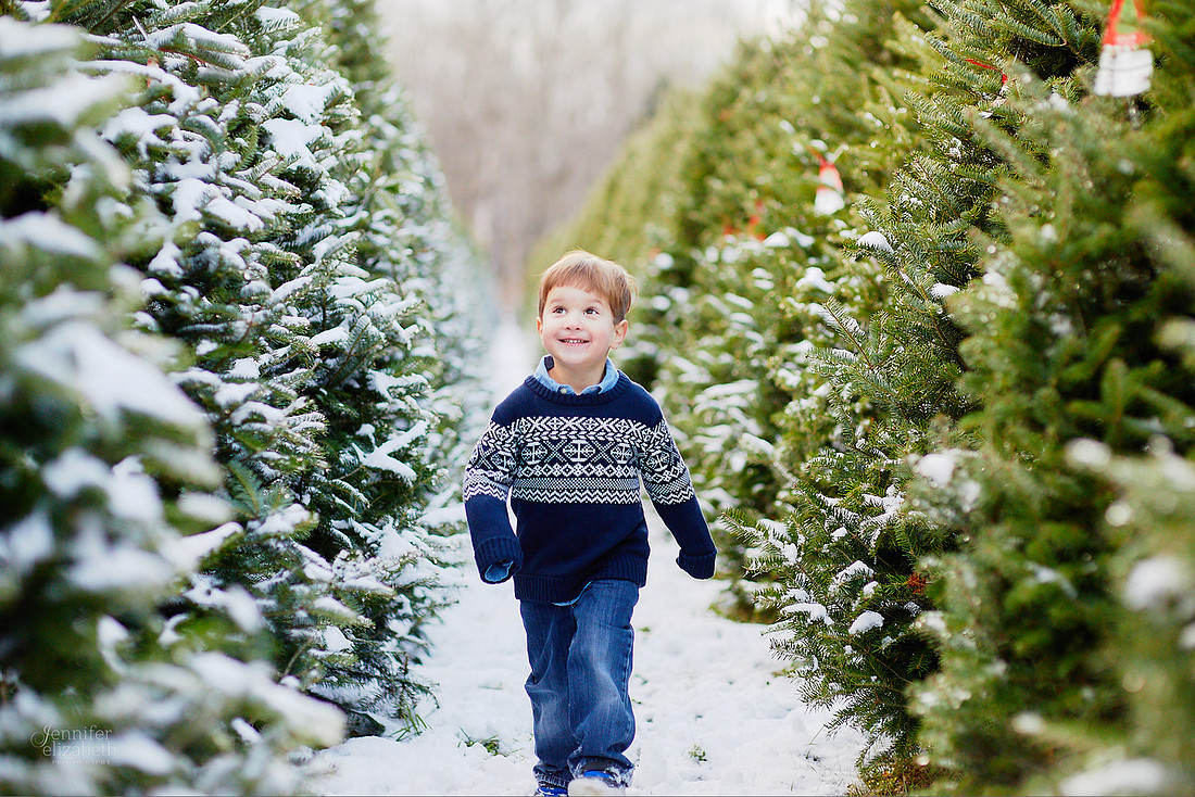 Micro Mini Portrait Sessions at Sugar Pines Farm