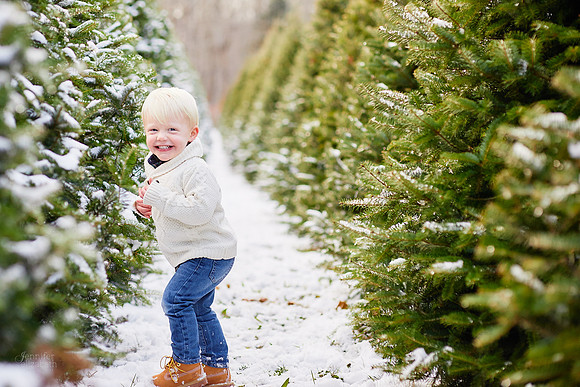 Micro Mini Portrait Sessions at Sugar Pines Farm