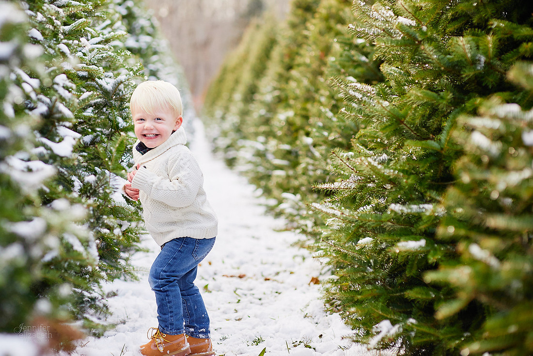 Micro Mini Portrait Sessions at Sugar Pines Farm