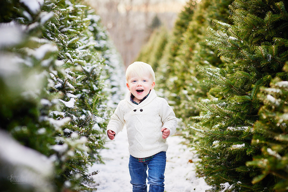 Micro Mini Portrait Sessions at Sugar Pines Farm