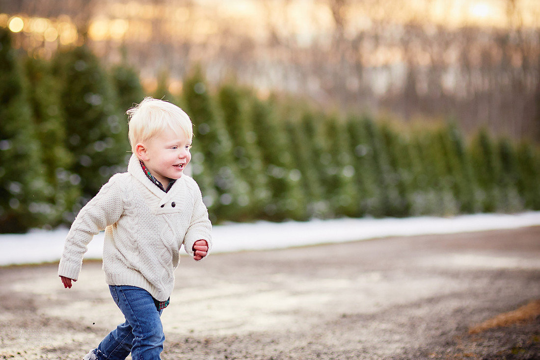 Micro Mini Portrait Sessions at Sugar Pines Farm