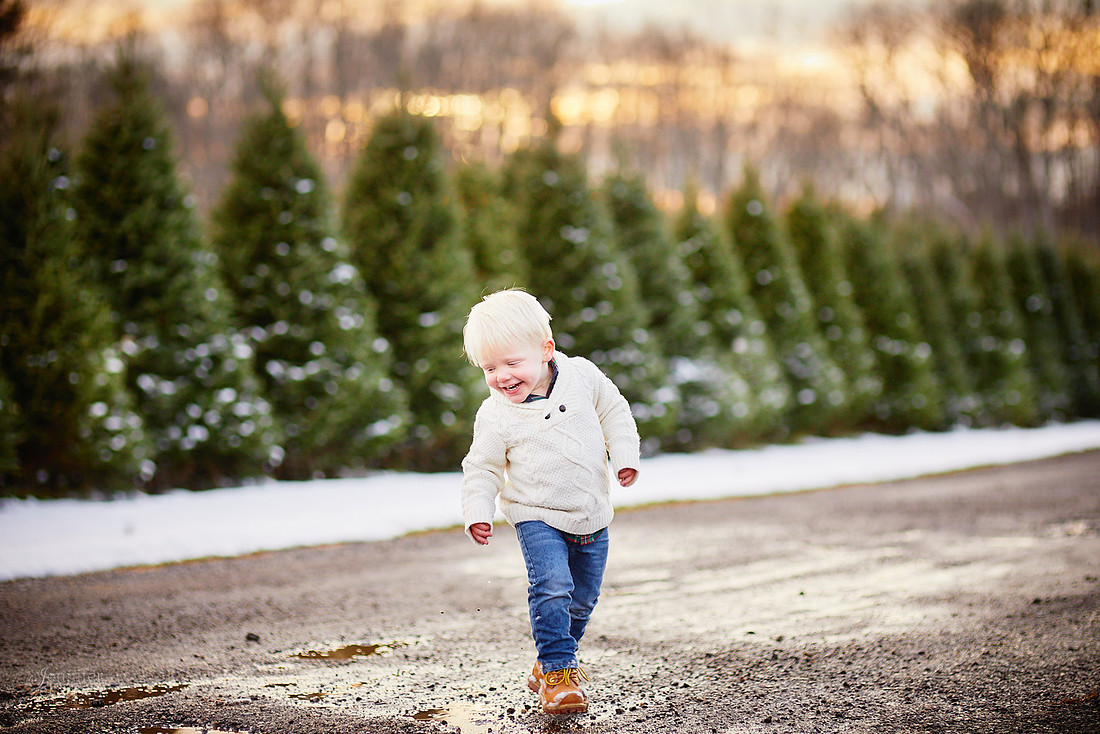 Micro Mini Portrait Sessions at Sugar Pines Farm