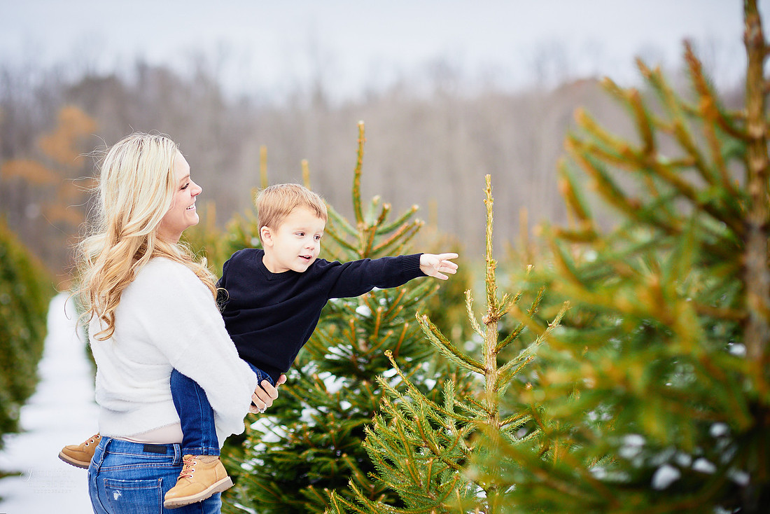 Micro Mini Portrait Sessions at Sugar Pines Farm
