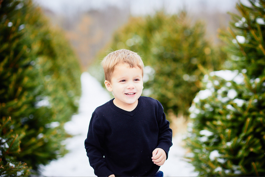 Micro Mini Portrait Sessions at Sugar Pines Farm