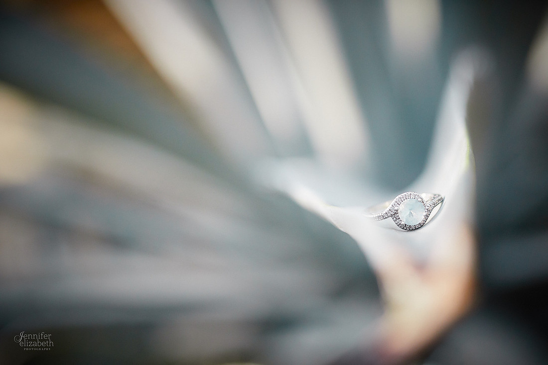 Stephanie & Garrick: Engagement at Rockefeller Park Greenhouse