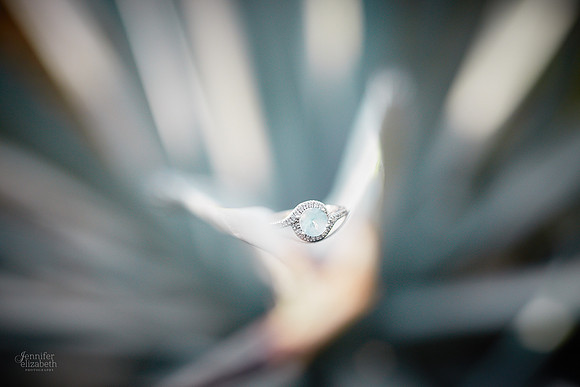 Stephanie & Garrick: Engagement at Rockefeller Park Greenhouse