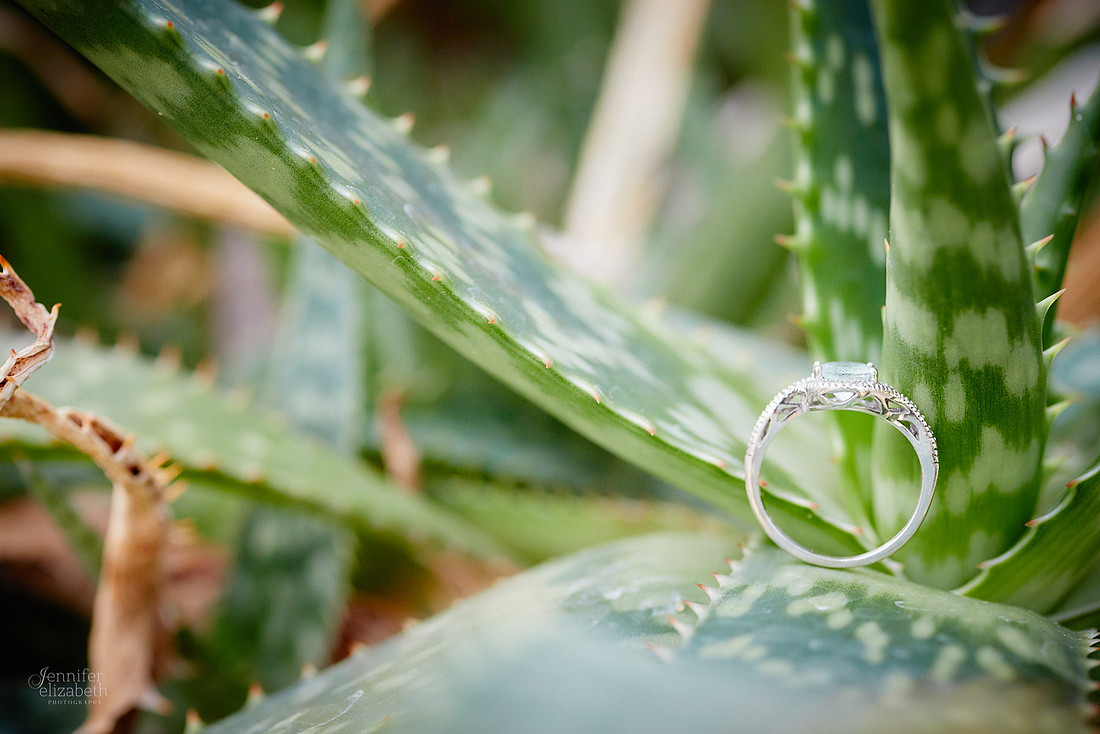 Stephanie & Garrick: Engagement at Rockefeller Park Greenhouse