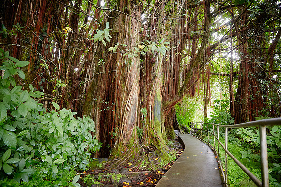 The Big Island of Hawaii 2018