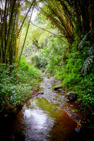 The Big Island of Hawaii 2018