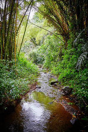 The Big Island of Hawaii 2018