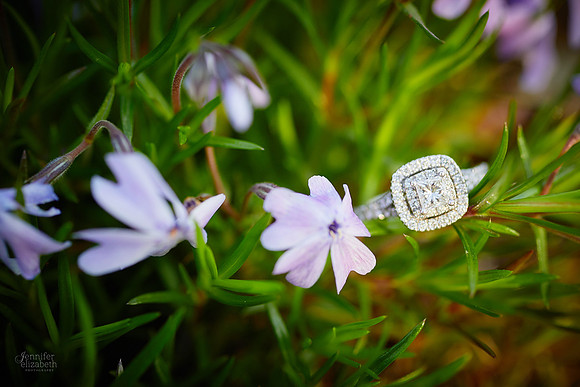 Gina & Allen: Wedding Portrait Session at Weymouth Country Club