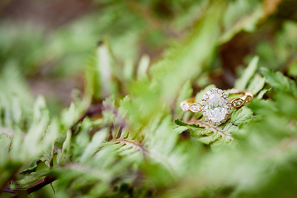 Laura & Ryan: Engagement at David Fortier Park