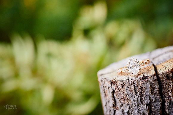 Laura & Ryan: Engagement at David Fortier Park