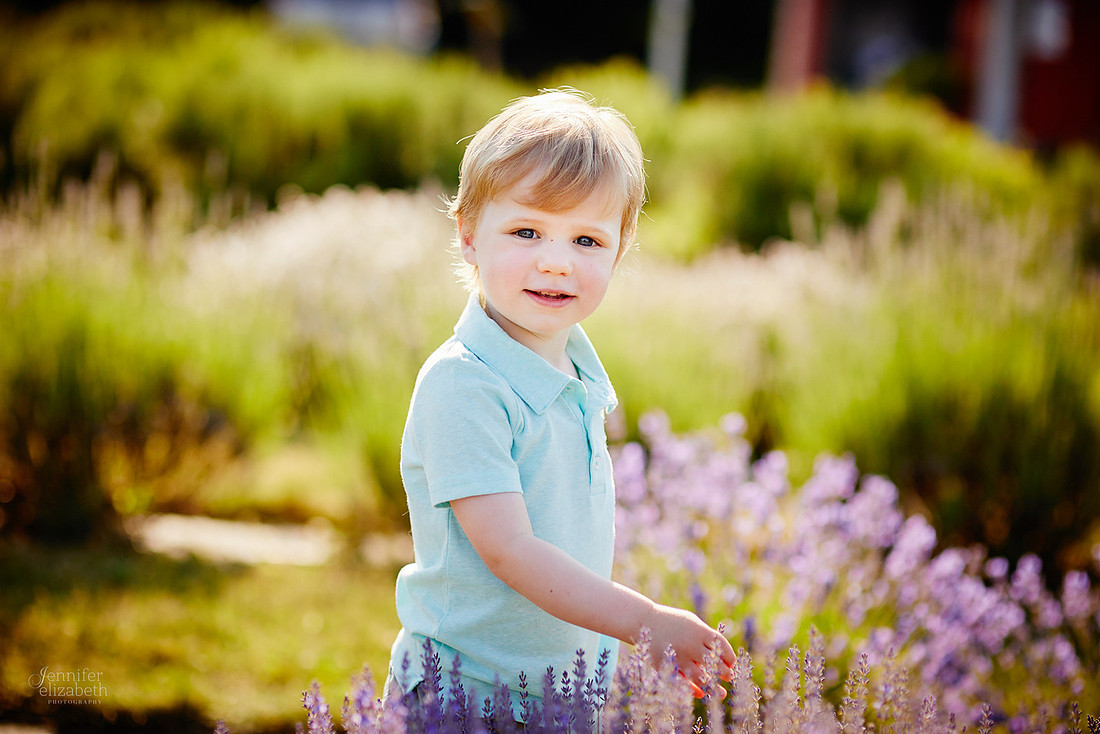 Mini Sessions at Luvin Lavender Farms in Madison