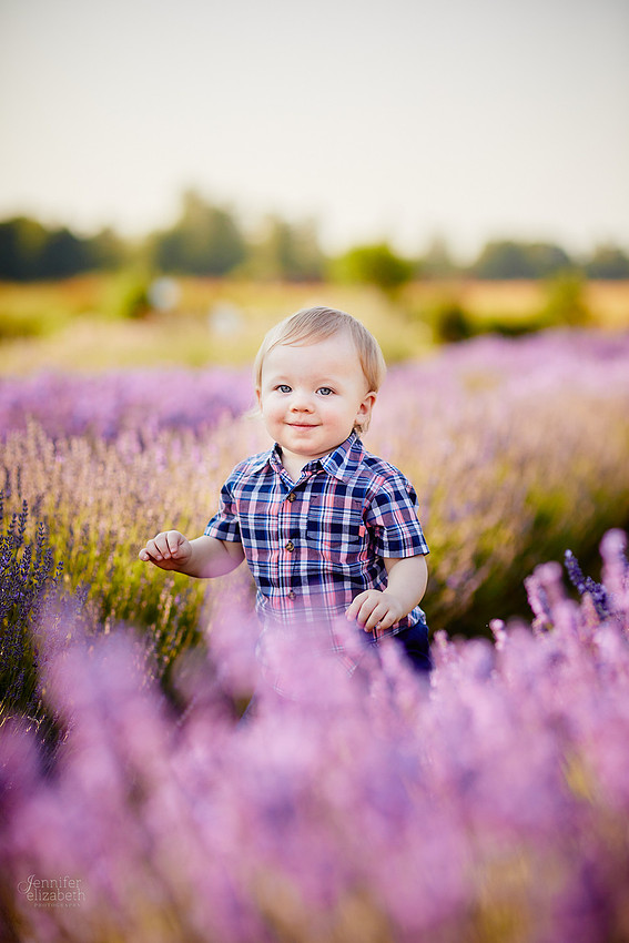 Mini Sessions at Luvin Lavender Farms in Madison