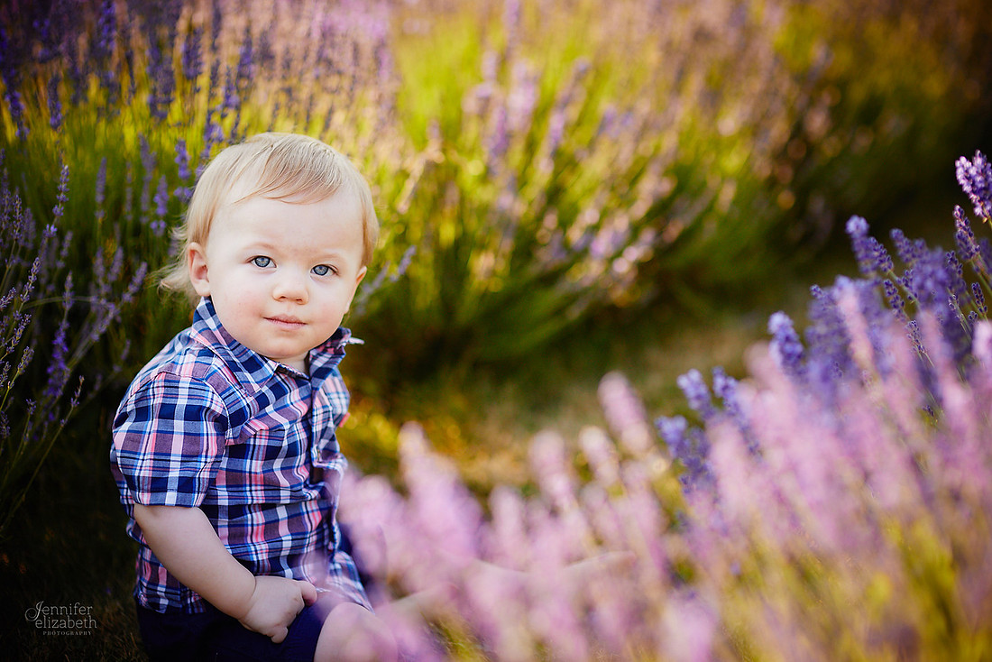 Mini Sessions at Luvin Lavender Farms in Madison