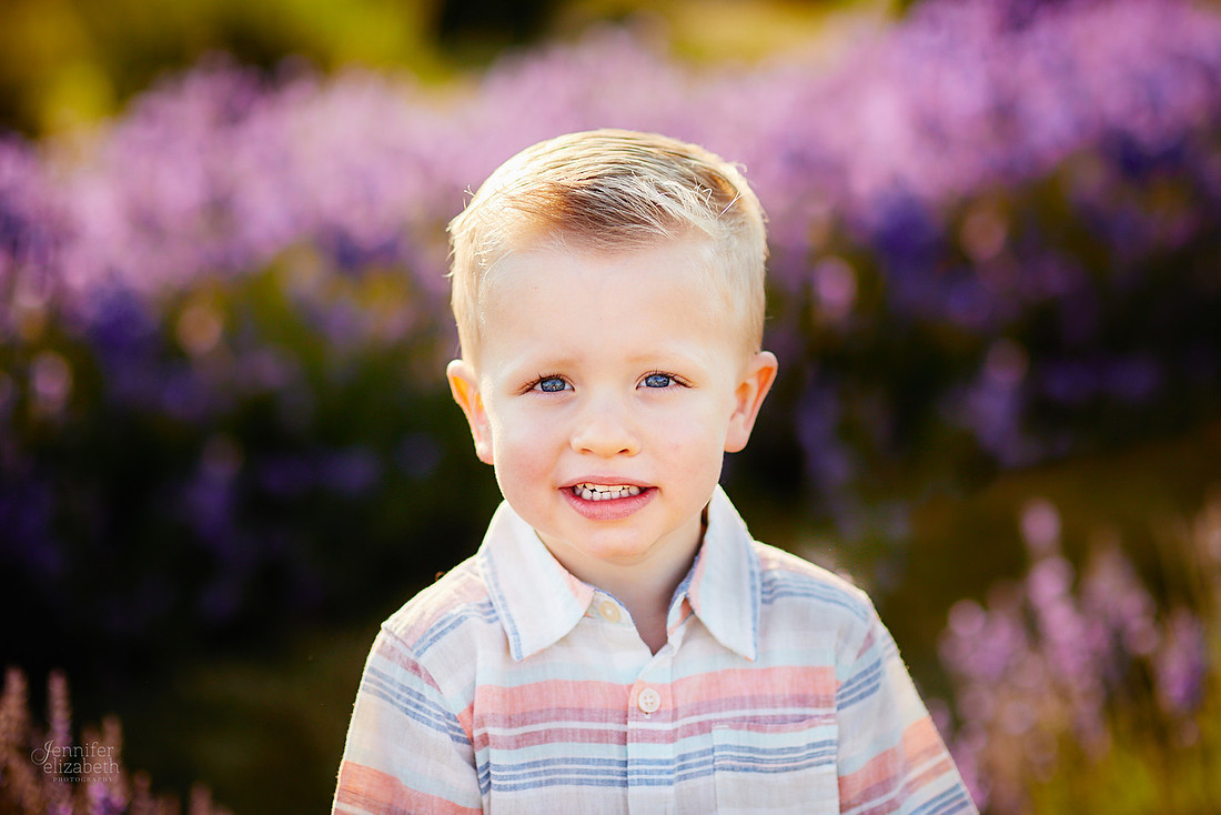 Mini Sessions at Luvin Lavender Farms in Madison