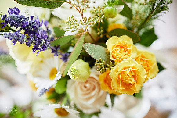 Deb & Matt: Backyard Micro Wedding in Sagamore Hills, Ohio