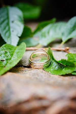 Deb & Matt: Backyard Micro Wedding in Sagamore Hills, Ohio