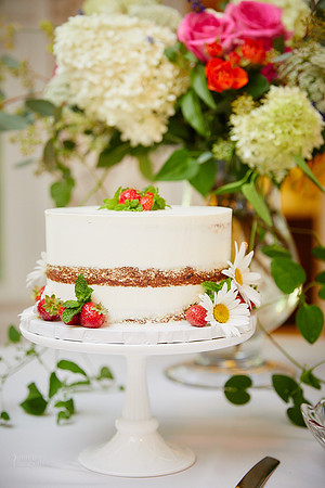 Deb & Matt: Backyard Micro Wedding in Sagamore Hills, Ohio