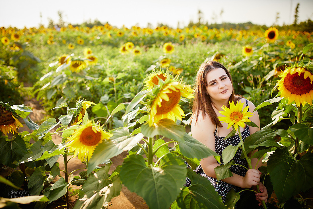 Sunflower Field Mini Sessions at Maria's Field of Hope