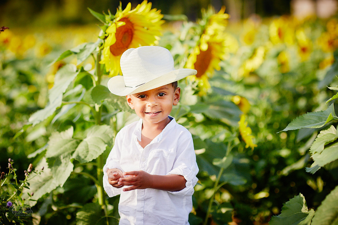 Sunflower Field Mini Sessions at Maria's Field of Hope