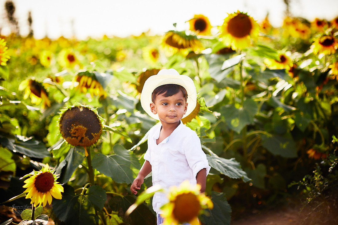 Sunflower Field Mini Sessions at Maria's Field of Hope
