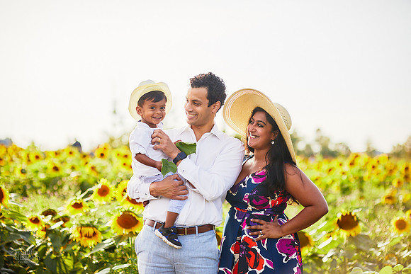 Sunflower Field Mini Sessions at Maria's Field of Hope