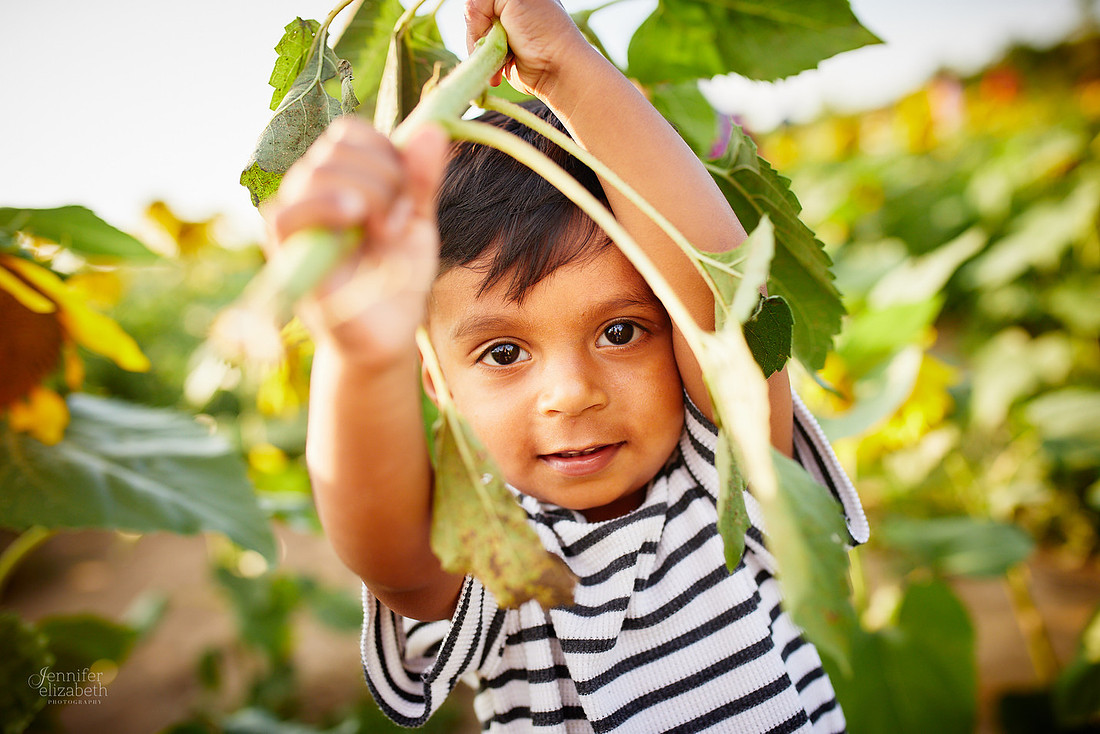 Sunflower Field Mini Sessions at Maria's Field of Hope