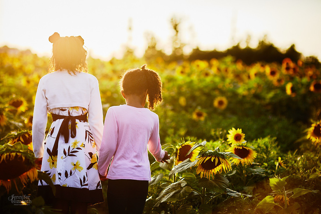 Sunflower Field Mini Sessions at Maria's Field of Hope