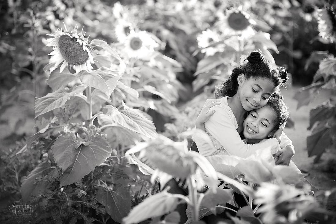 Sunflower Field Mini Sessions at Maria's Field of Hope