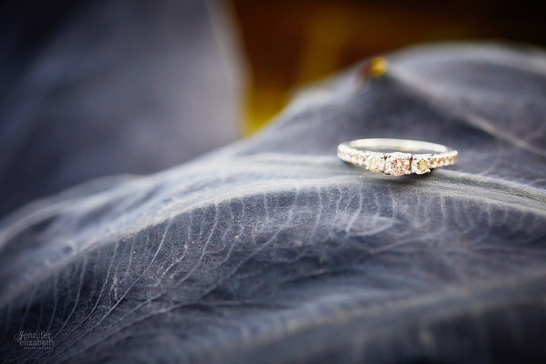 Seleste & Mark: Engagement Session at Schoepfle Gardens