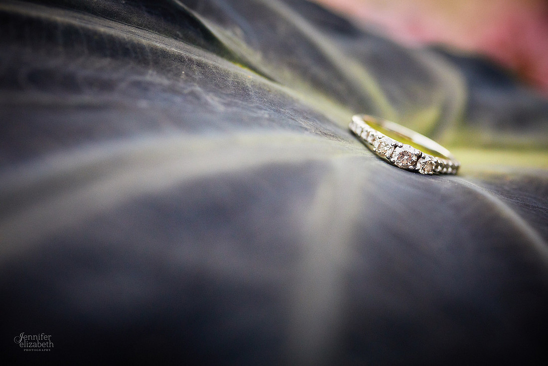 Seleste & Mark: Engagement Session at Schoepfle Gardens