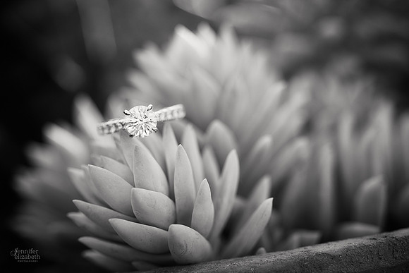 Erica & Grant: Engagement Session at Kingwood Center Gardens