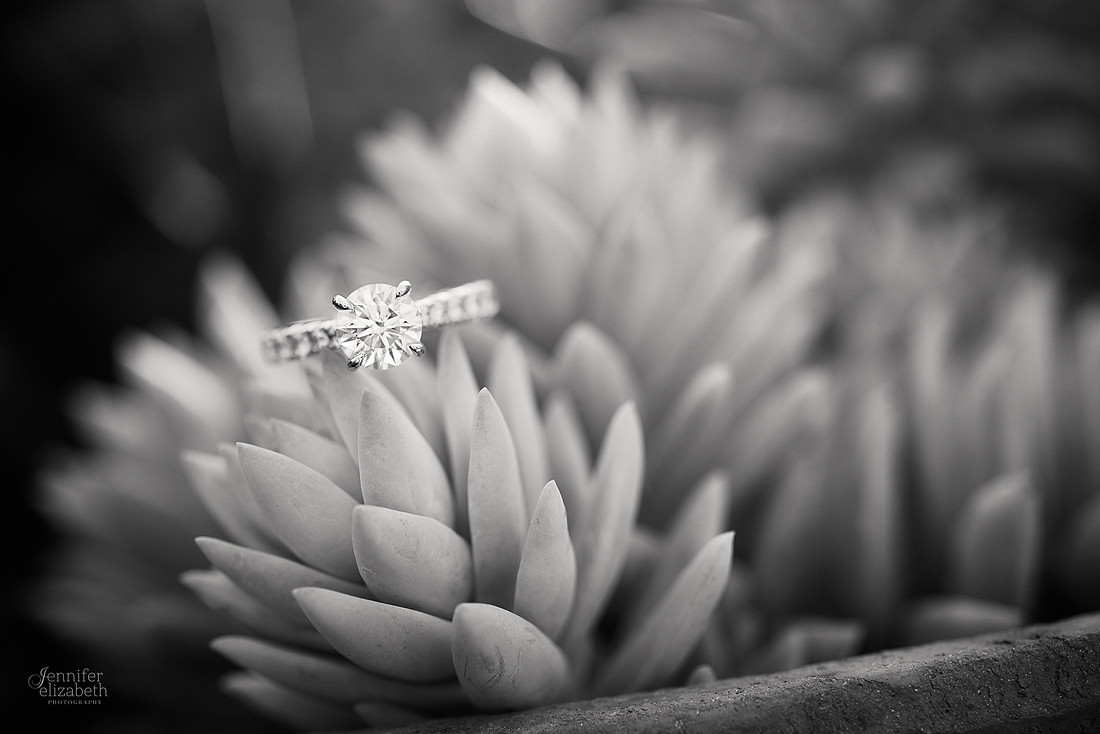 Erica & Grant: Engagement Session at Kingwood Center Gardens