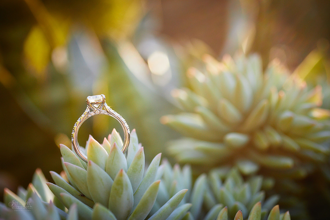 Erica & Grant: Engagement Session at Kingwood Center Gardens