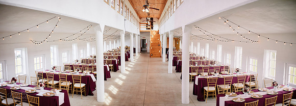 Janelle & Josh: Wedding at the O.C. Barber Piggery