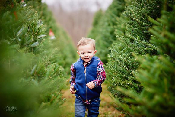 Christmas Mini Sessions at Sugar Pines Farm in Chesterland, Ohio