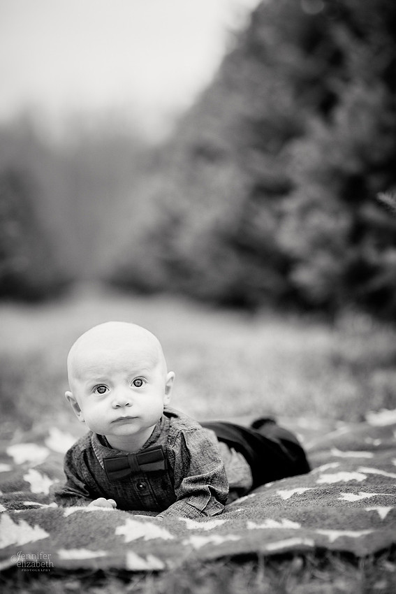 Christmas Mini Sessions at Sugar Pines Farm in Chesterland, Ohio