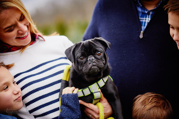 Christmas Mini Sessions at Sugar Pines Farm in Chesterland, Ohio