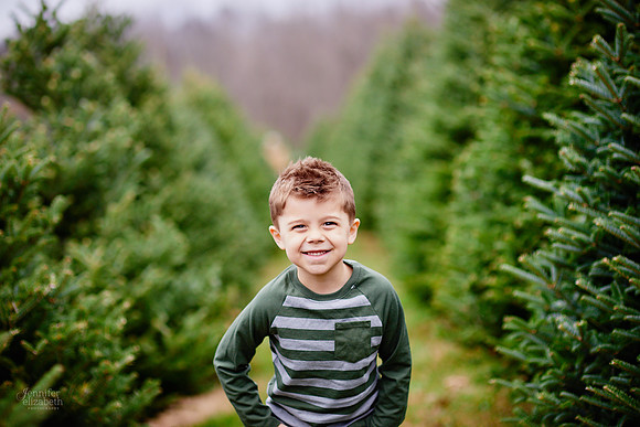 Christmas Mini Sessions at Sugar Pines Farm in Chesterland, Ohio